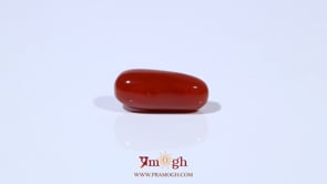 Red Coral - 4.56 Carat