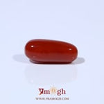 Red Coral - 4.56 Carat