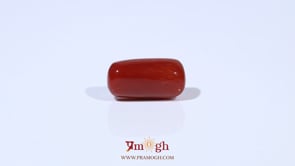 Red Coral - 4.61 Carat