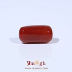 Red Coral - 4.61 Carat