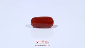 Red Coral - 4.69 Carat