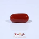 Red Coral - 4.69 Carat