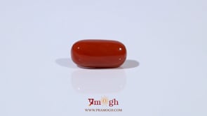 Red Coral - 4.57 Carat