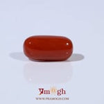 Red Coral - 4.57 Carat