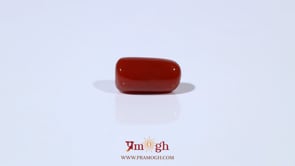 Red Coral - 4.73 Carat