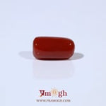 Red Coral - 4.73 Carat
