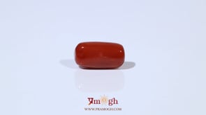 Red Coral - 4.8 Carat
