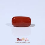 Red Coral - 4.8 Carat