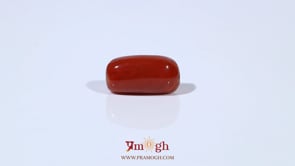 Red Coral - 5.16 Carat