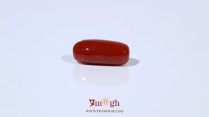 Red Coral - 4.88 Carat