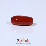 Red Coral - 4.88 Carat