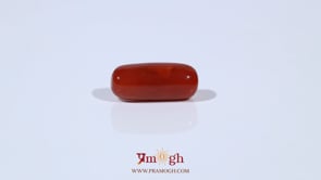 Red Coral - 4.67 Carat