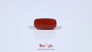 Red Coral - 4.59 Carat