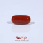 Red Coral - 4.59 Carat