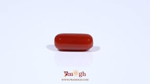 Red Coral - 4.8 Carat