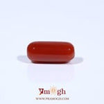 Red Coral - 4.8 Carat