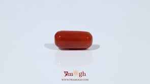Red Coral - 5.05 Carat
