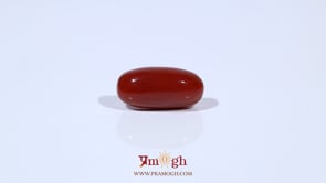 Red Coral - 5.04 Carat