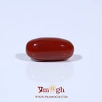 Red Coral - 5.04 Carat