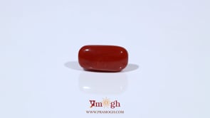 Red Coral - 4.84 Carat