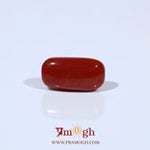 Red Coral - 4.84 Carat