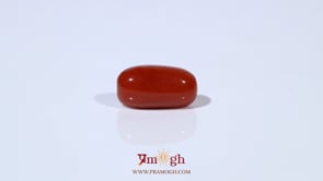 Red Coral - 4.88 Carat