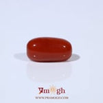 Red Coral - 4.88 Carat