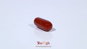 Red Coral - 4.7 Carat