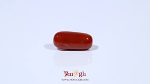 Red Coral - 4.61 Carat