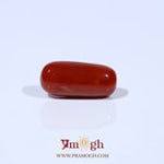 Red Coral - 4.61 Carat