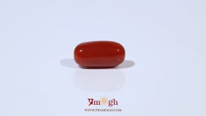 Red Coral - 4.51 Carat