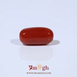 Red Coral - 4.51 Carat