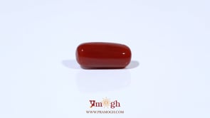 Red Coral - 4.8 Carat