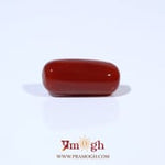 Red Coral - 4.8 Carat