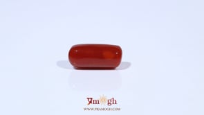 Red Coral - 5.31 Carat