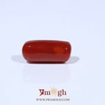 Red Coral - 5.31 Carat