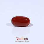 Red Coral - 4.53 Carat