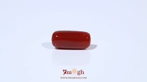 Red Coral - 5.03 Carat