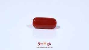 Red Coral - 4.56 Carat