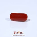 Red Coral - 4.56 Carat