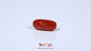 Red Coral - 4.94 Carat