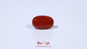 Red Coral - 4.62 Carat