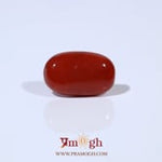 Red Coral - 4.62 Carat