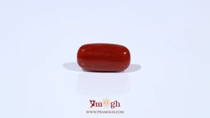 Red Coral - 4.56 Carat