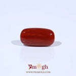 Red Coral - 4.56 Carat