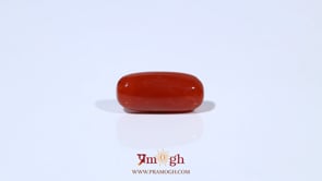 Red Coral - 4.71 Carat