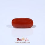 Red Coral - 4.71 Carat