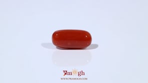 Red Coral - 4.8 Carat