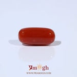 Red Coral - 4.8 Carat