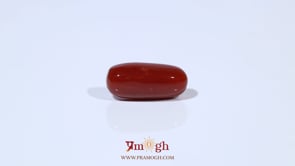Red Coral - 4.8 Carat